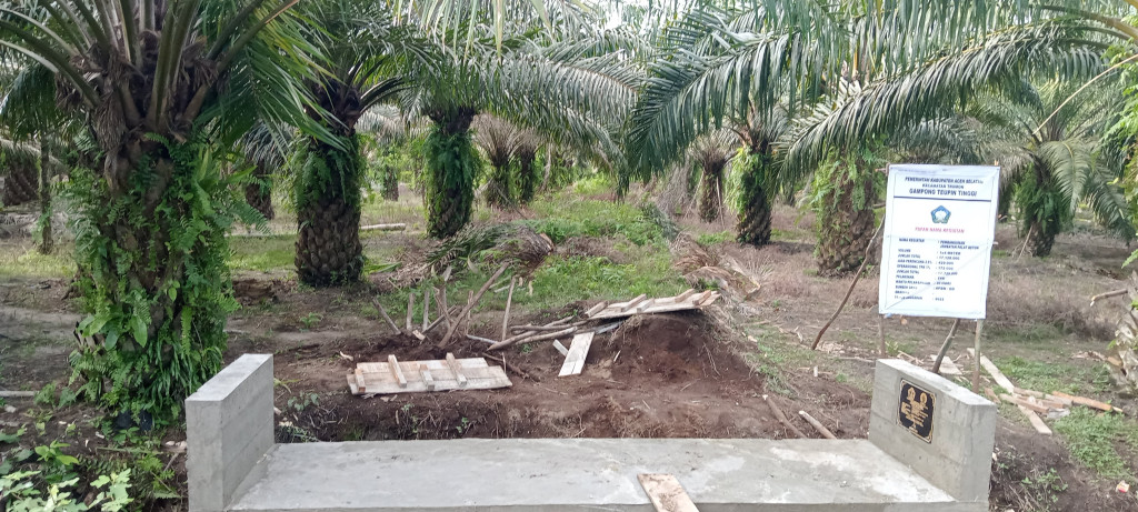 Perkebunan Kelapa Sawit Gampong Teupin Tinggi